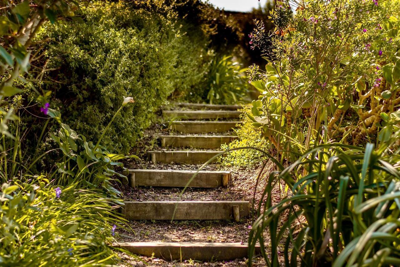 The Dongola Guesthouse Cape Town Dış mekan fotoğraf